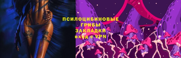эйфоретик Алзамай