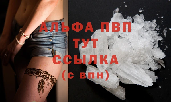 сатива Рославль
