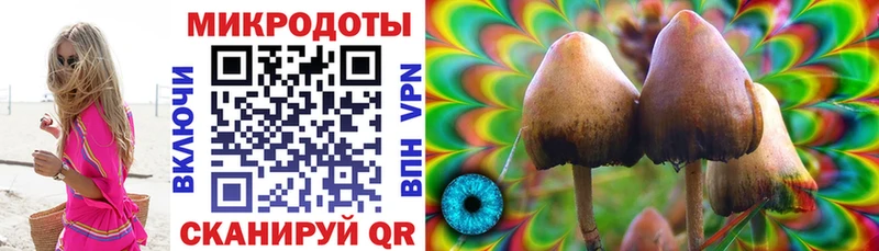 купить   Вышний Волочёк  Псилоцибиновые грибы мицелий 