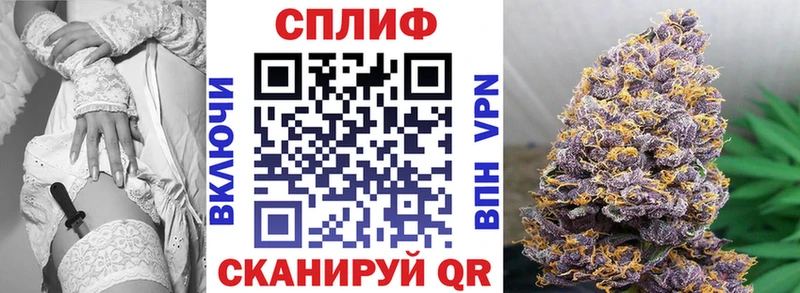 Каннабис сатива Вышний Волочёк
